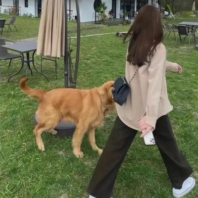猫女:猎捕